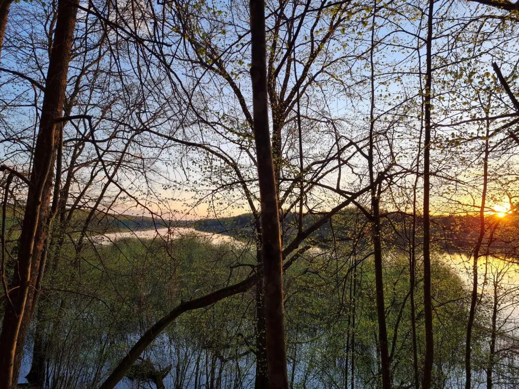 Коттедж Коттеджи у озера — Луга