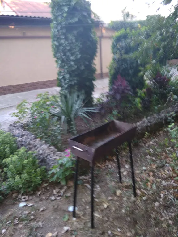 Комната в зелёном дворе