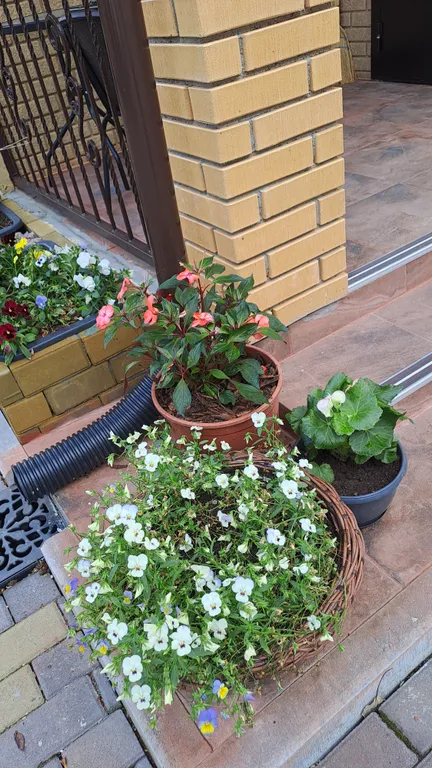 Коттедж 5-комнатный Дом — Кискелово