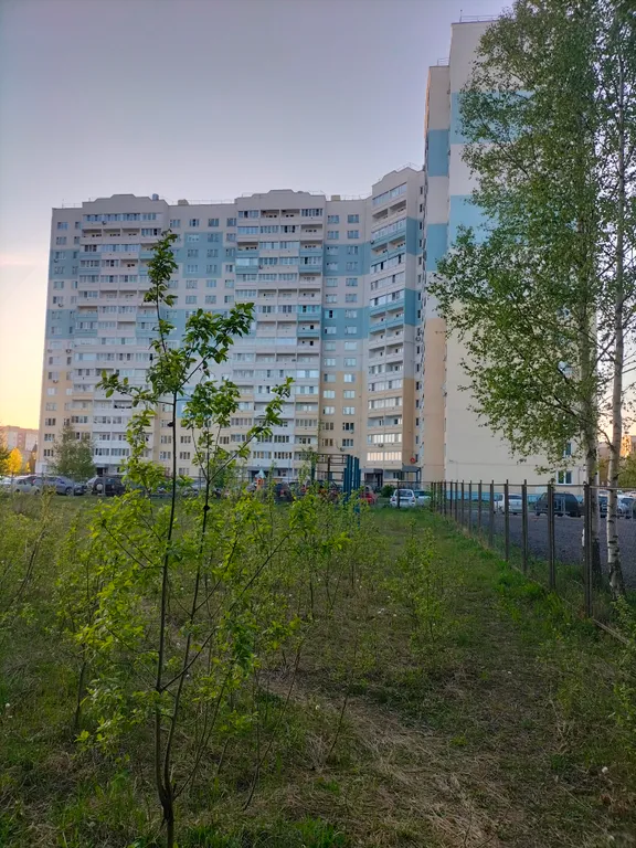 Уютная квартира с видом на берёзовую рощу