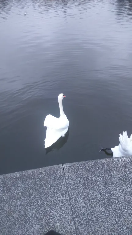 Квартира Квартира возле Киевского сквера и озера Летнего — Калининград