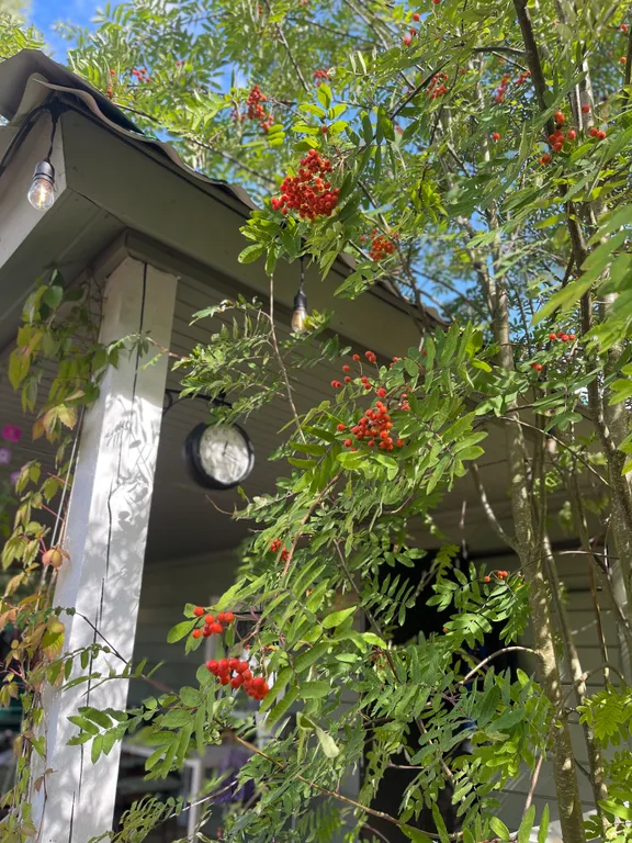 Уютный дом с баней и горячей купелью