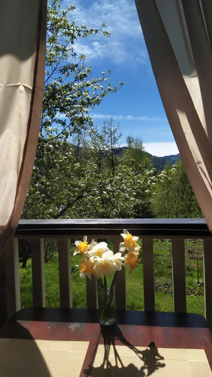 Домик в саду