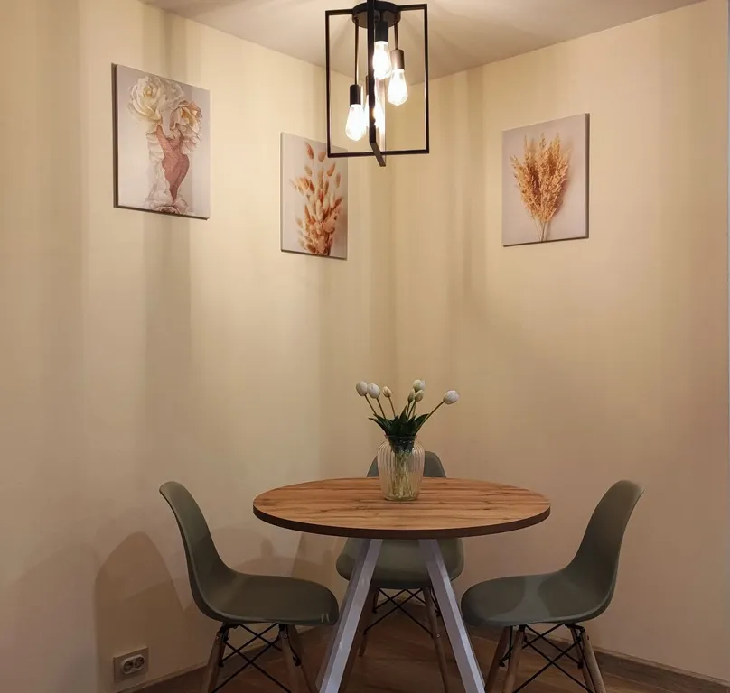 Просторная квартира в центре