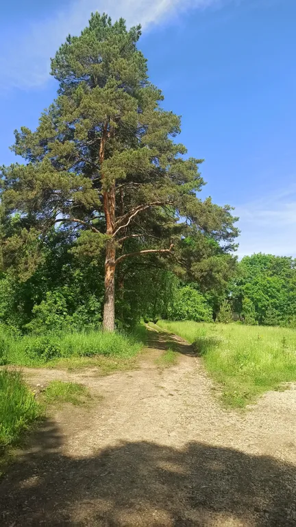 Воргольский каньон