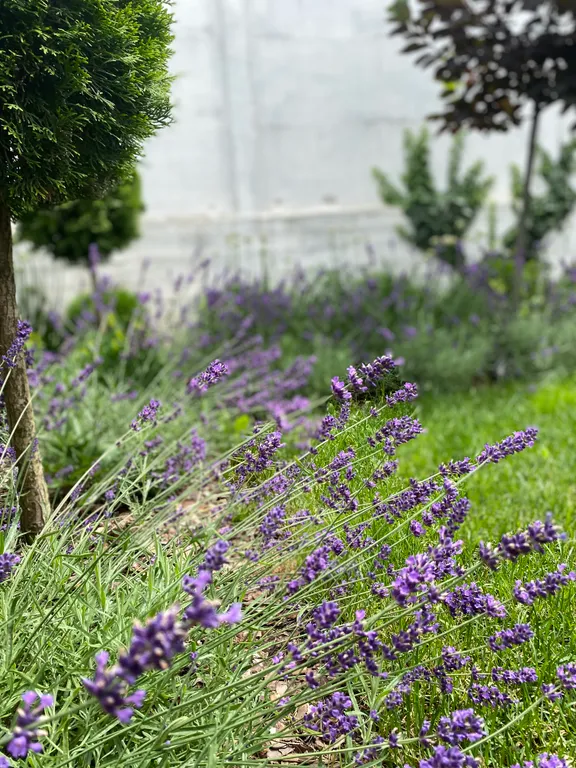 Дом, в котором всегда тепло и уютно