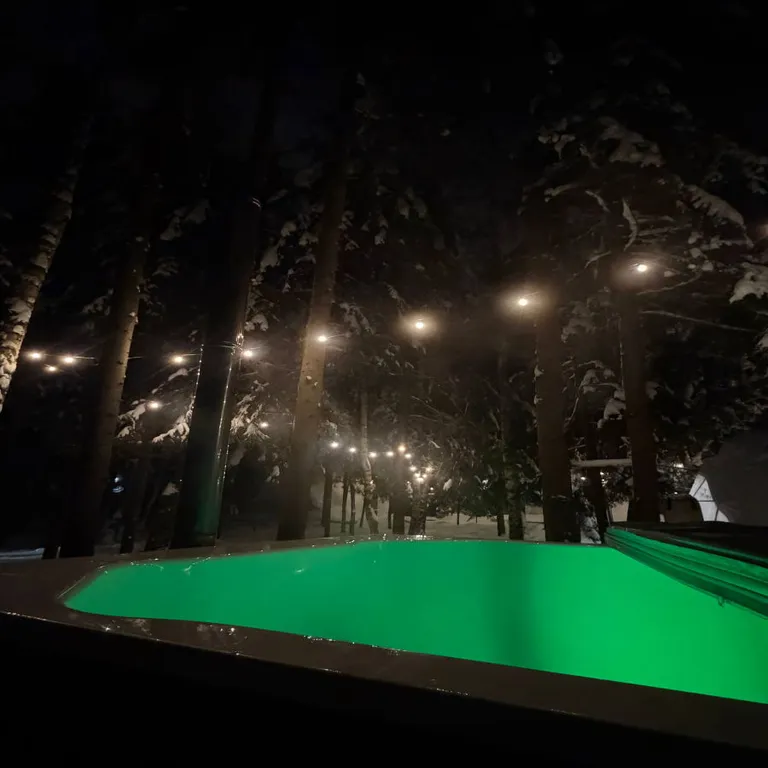 Дом-купольный в сосновом лесу для двоих