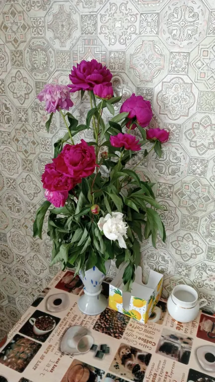 Уютная квартирка у моря