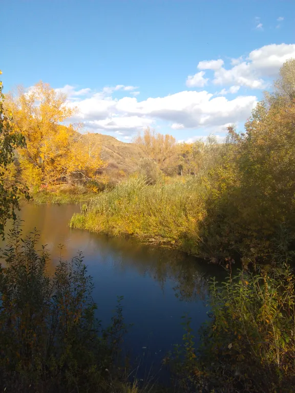 Большой дом с камином и новой баней