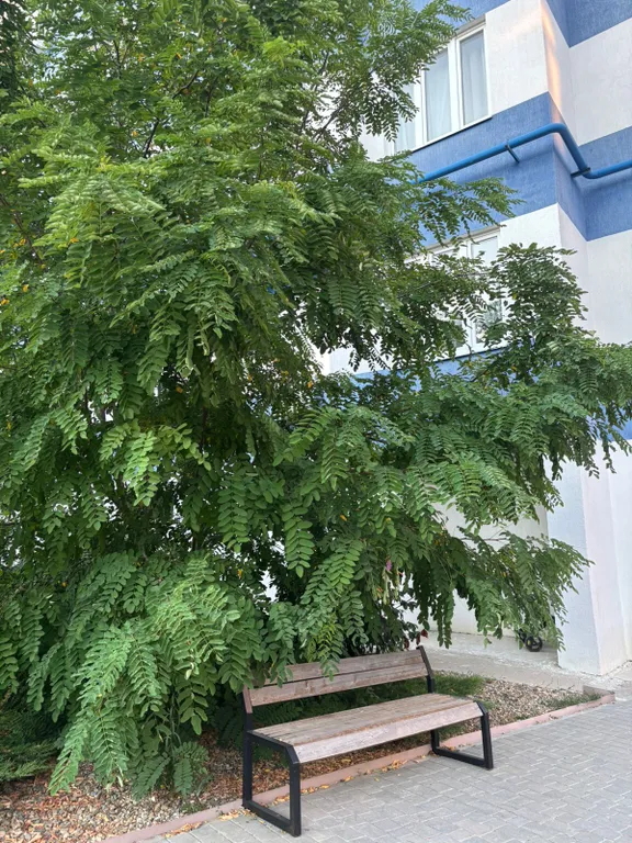 Квартира у моря