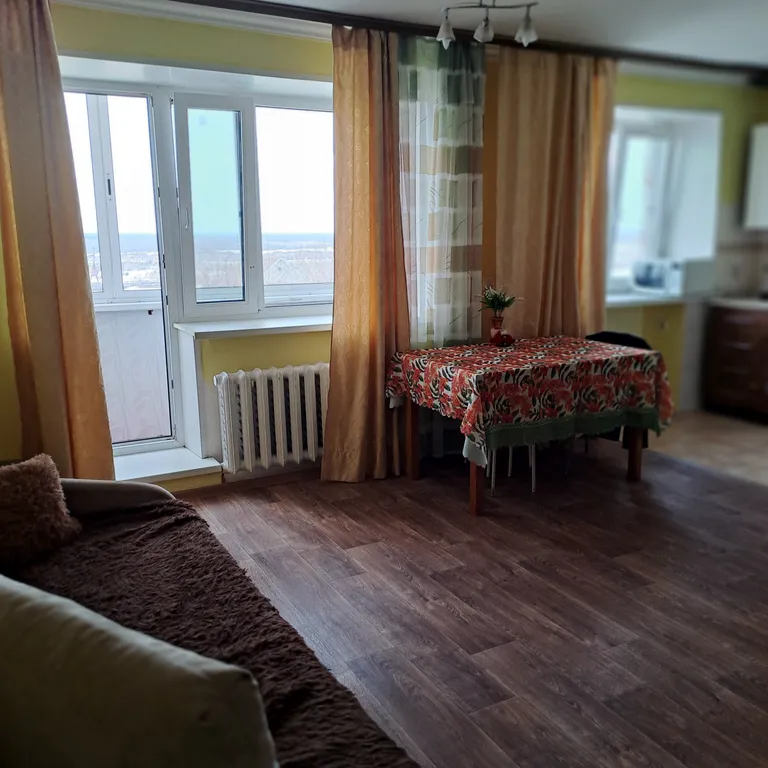 Уютная квартира с прекрасным видом на Иртыш, рядом с Кремлем