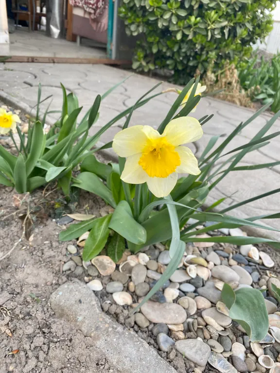 Дом на Энгельса 15