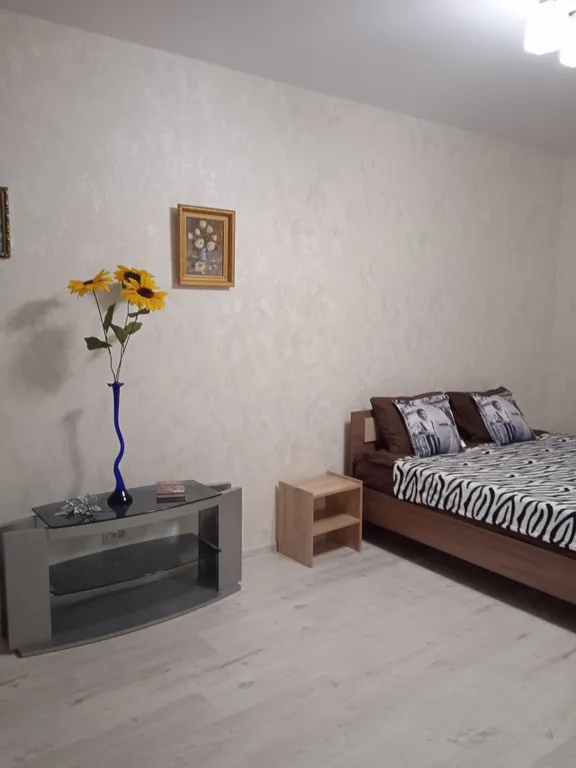 Квартира Однокомнатная квартира вблизи центра города — Ярославль