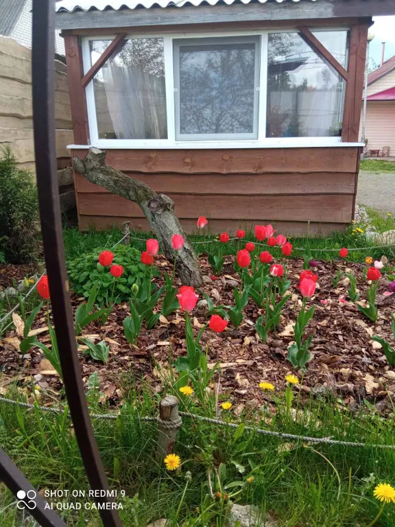 Коттедж на озере Нарочь