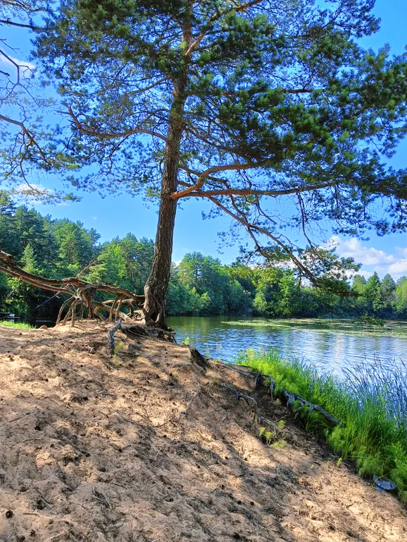 Квартира в курортной зоне Добромысли