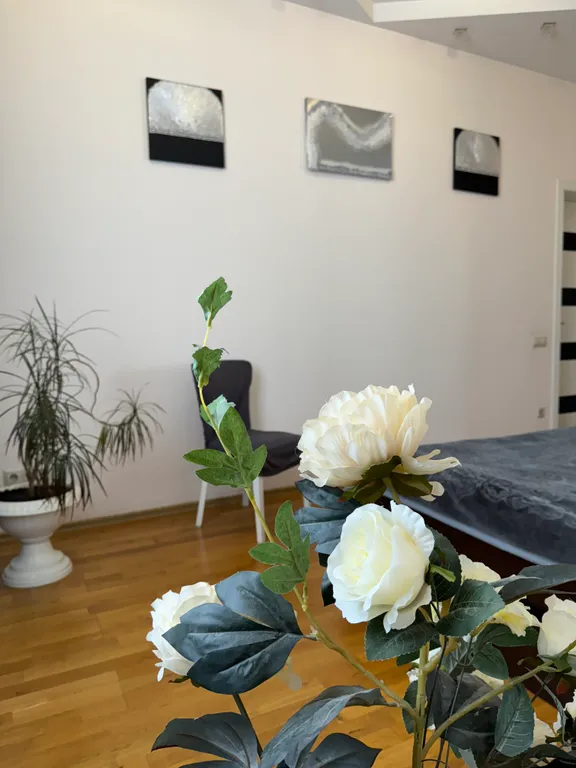 Красивая трёхкомнатная квартира в центре с видом на площадь