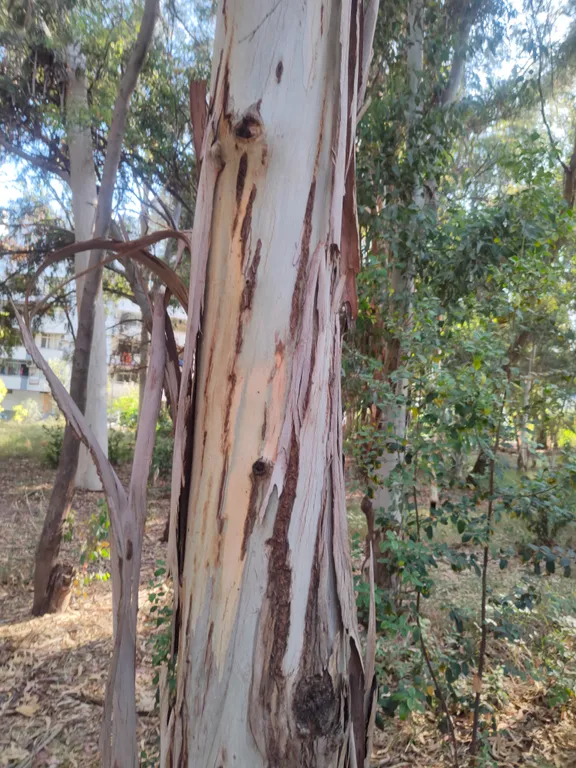 Квартира с видом на море и горы из всех окон