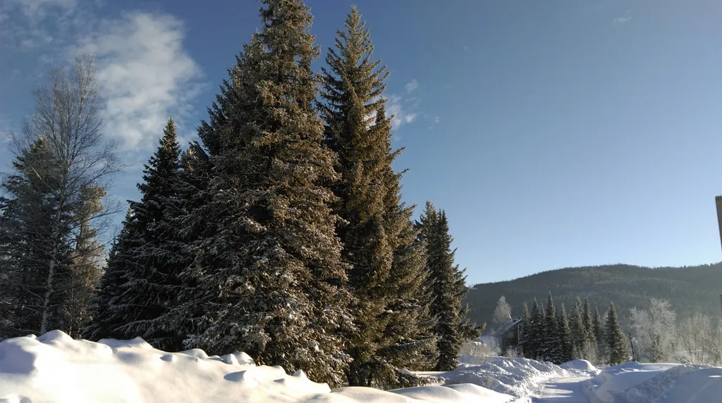 Дом Rustic с сауной