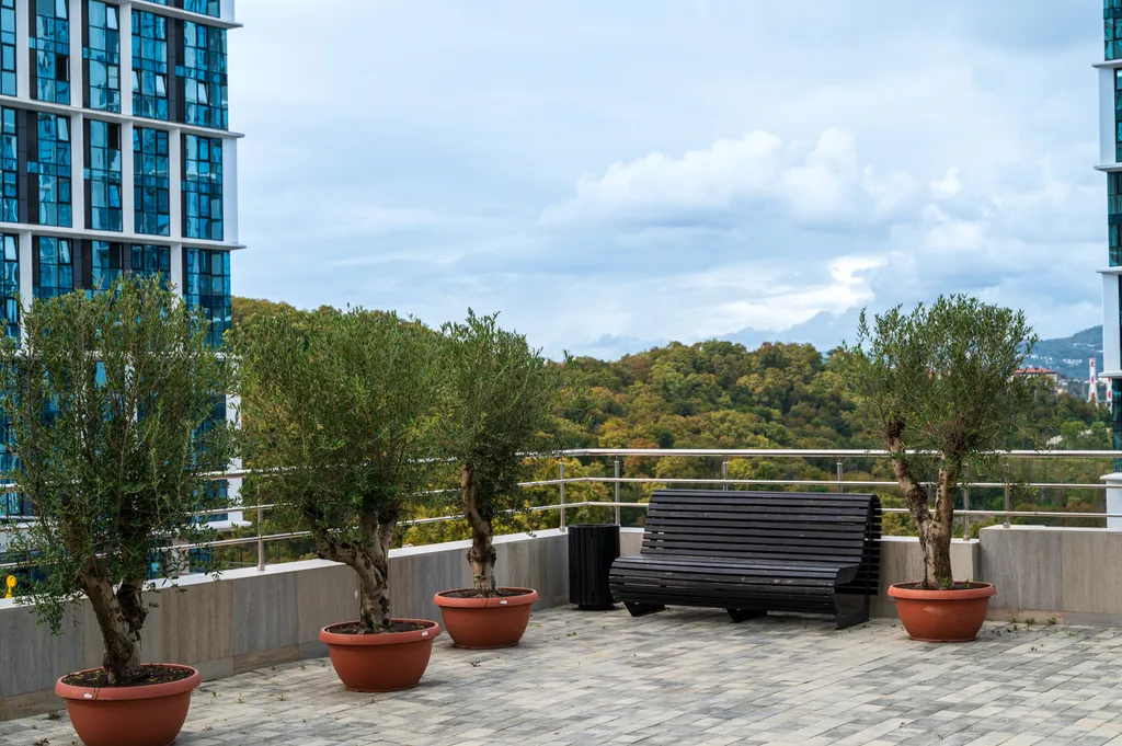 Ваш отпуск в Сочи