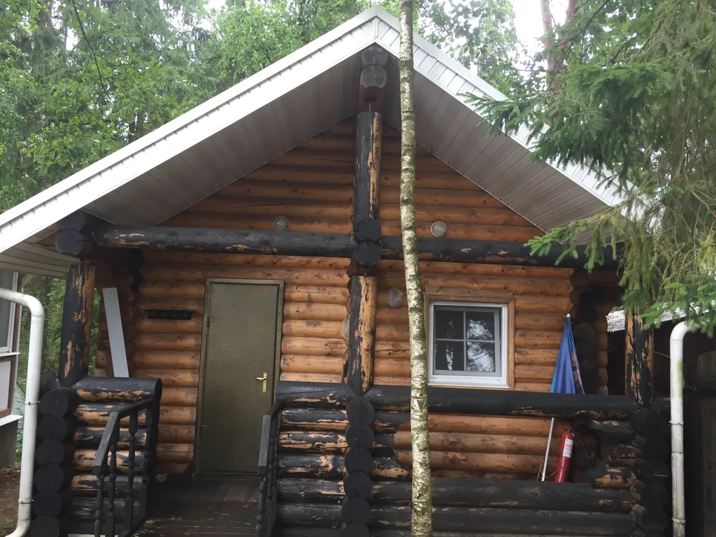 Домик в сосновом лесу