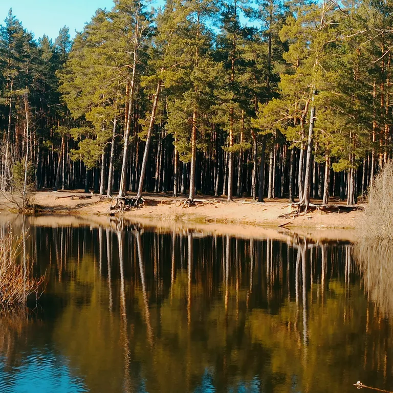 Норвежский домик с отдельной баней на дровах