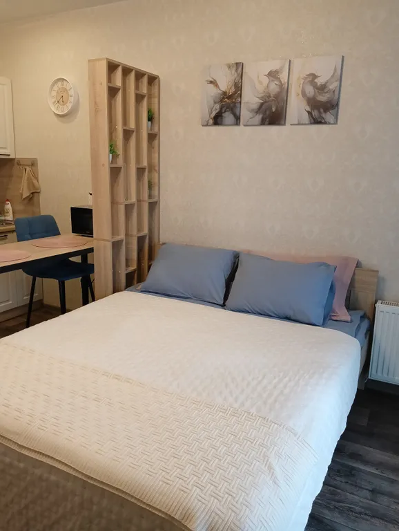 Уютная студия в ЖК Алые паруса с панорамным видом на реку Волхов