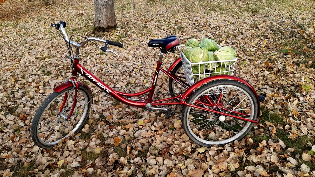 Дом в деревне