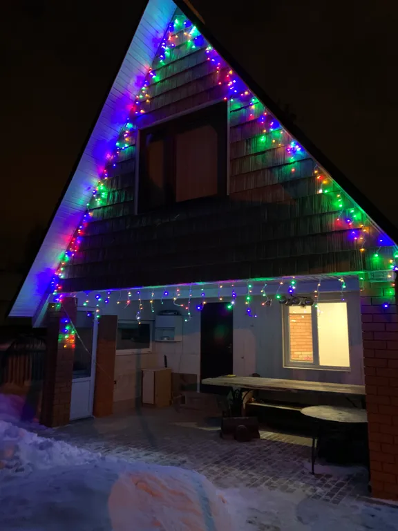 Дом в окружении леса