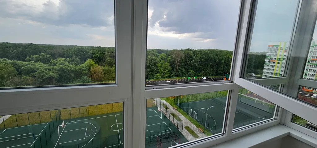 Современная студия с видом на лес