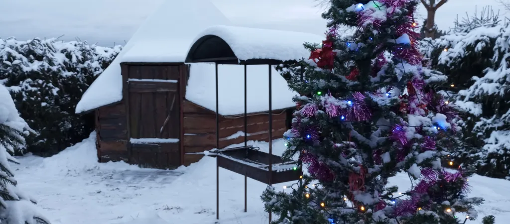 Дом на берегу Ладоги