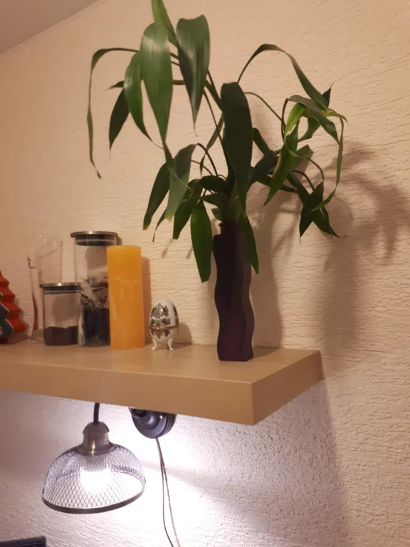 Квартира на набережной