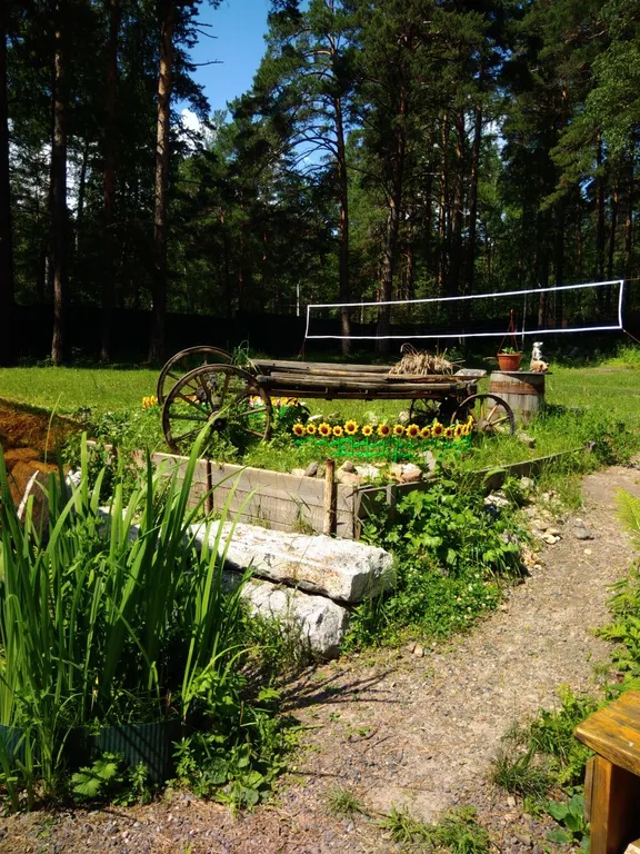 Уютный Дом в Лесу в Аникино