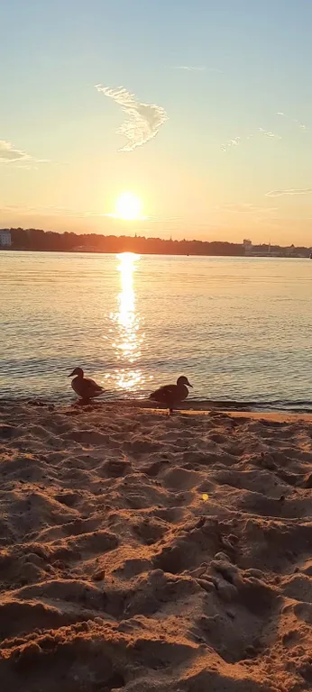 Новая квартира рядом с Тверицкой набережной