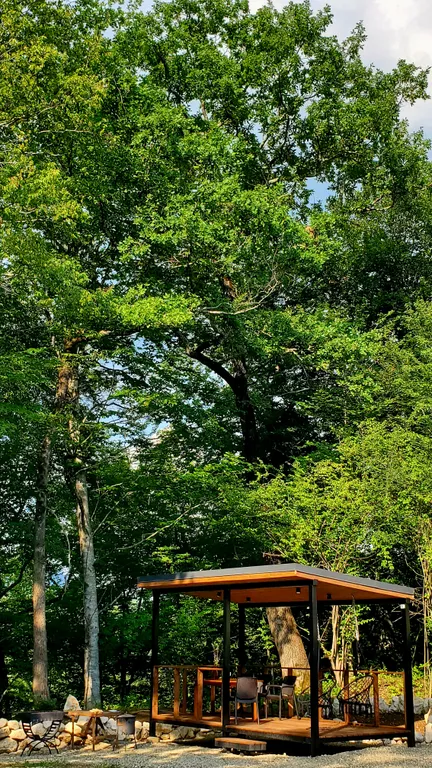 Барн-хаус 2+1 в тишине у леса и горной реки