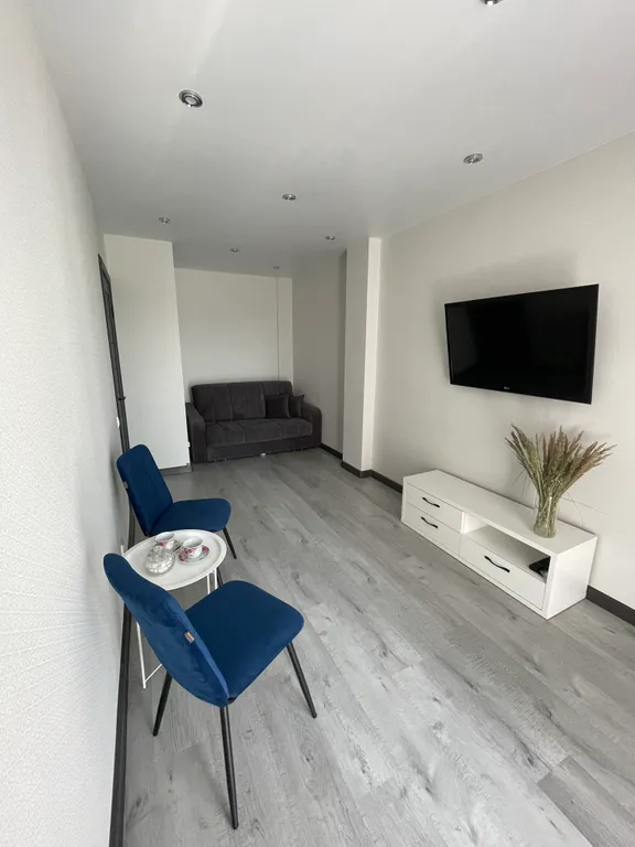 Уютная современная квартира рядом с рекой великая — аренда посуточно в Псков