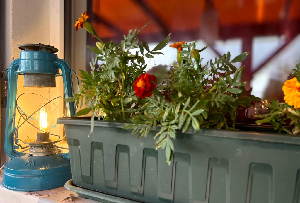 Домик Серфера