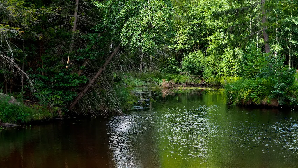 Дом на берегу