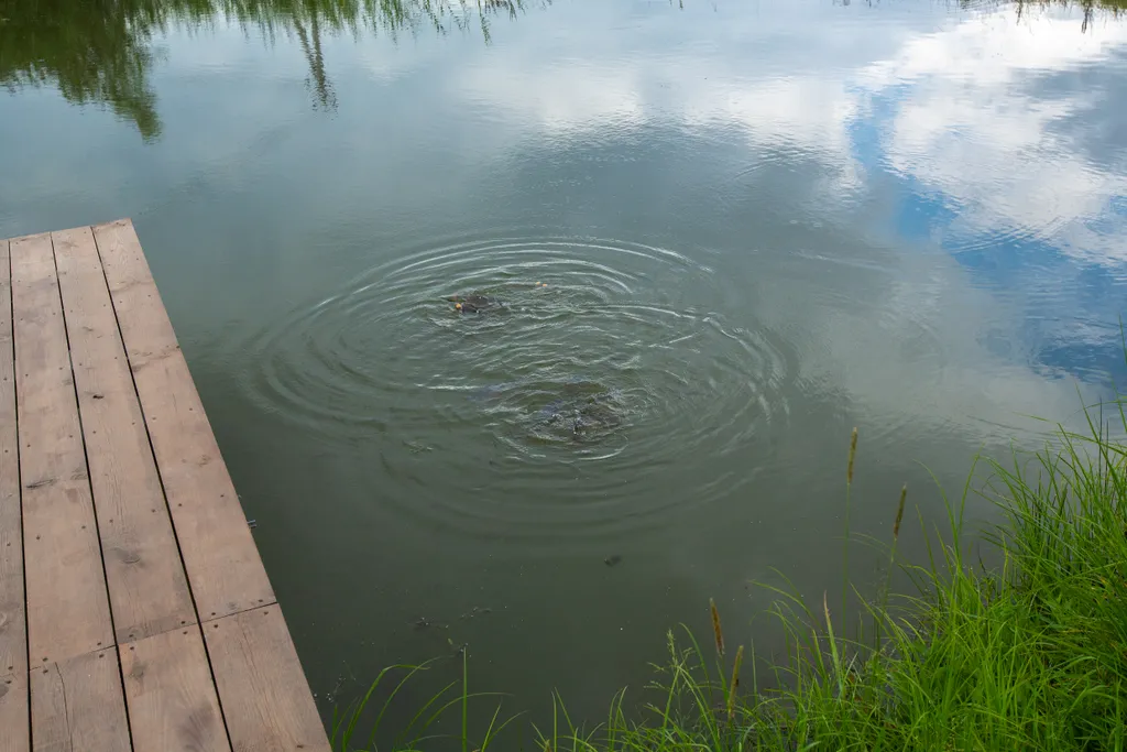 Барн Приморье: комфорт, рыбалка, прогулки к морю