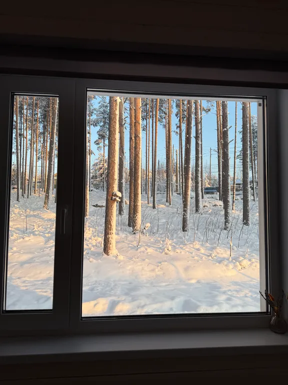 Уютный дом с живописным видом на лес