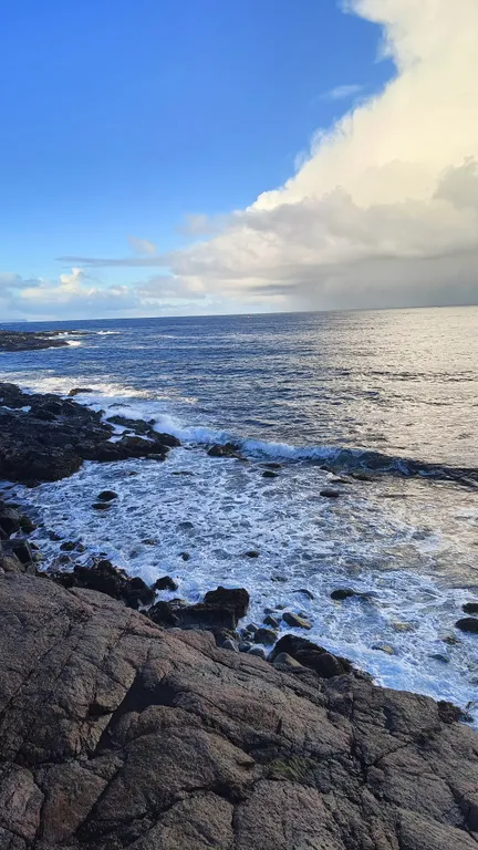 Квартира в Териберке