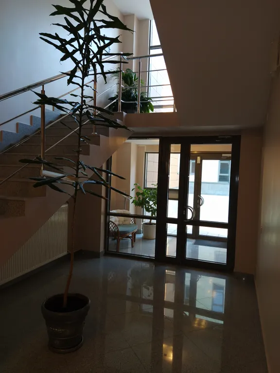 Люкс апартаменты Олень