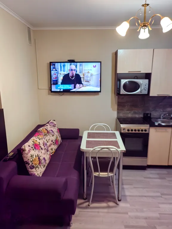 Уютная, однокомнатная квартира — аренда посуточно в Барнаул