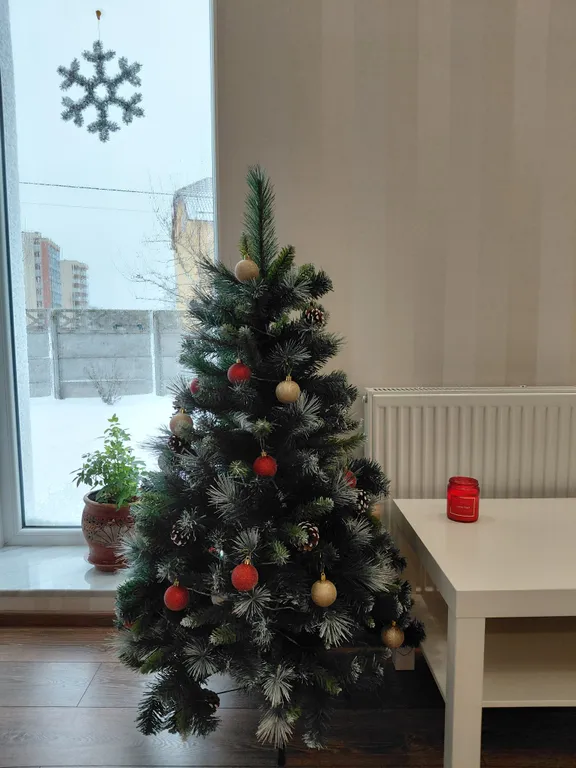 Уютный дом в центре Светлогорска