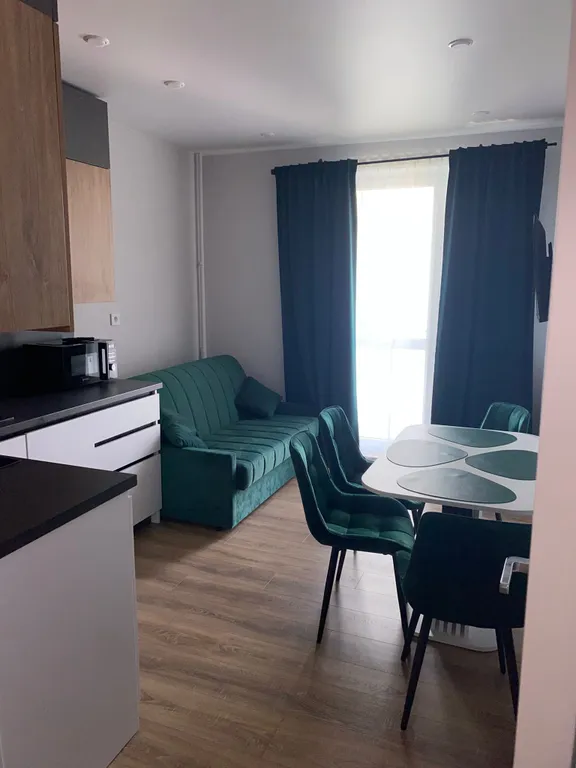 Уютная однокомнатная квартира с евро ремонтом