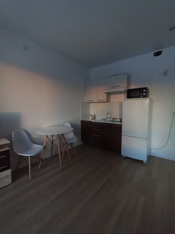 Квартира Уютная квартира-студия — Янино-1