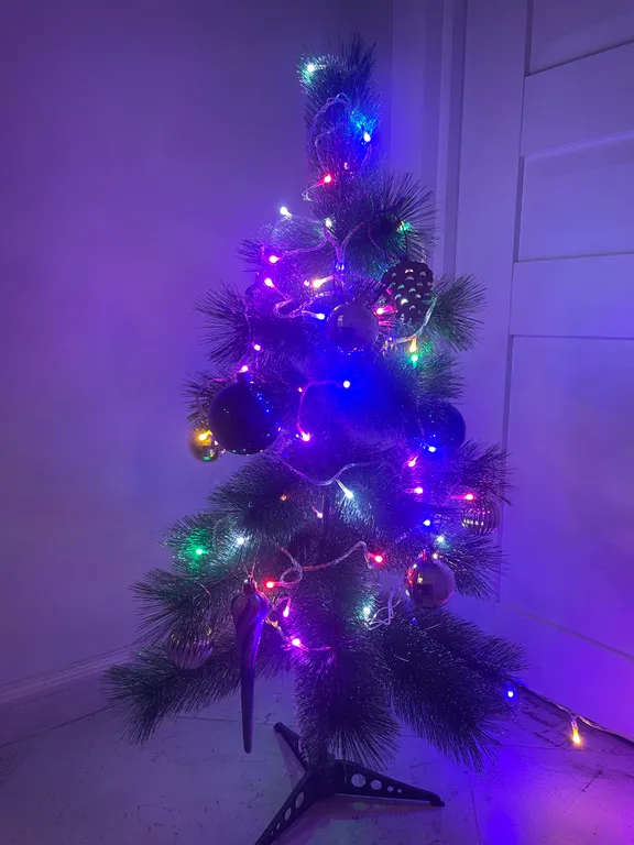 Квартира Уютная квартира с видом на поющие фонтаны и кенигсбергскую биржу — Калининград