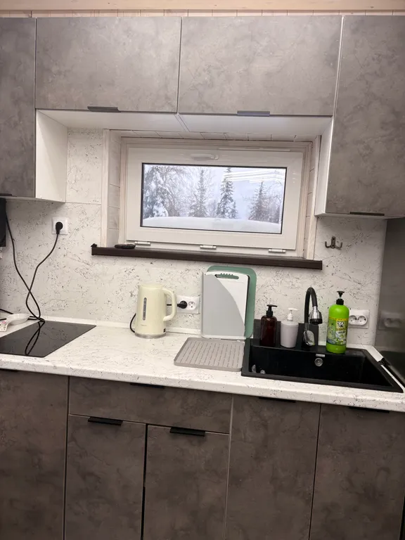 Дом с видом на горы в елочках