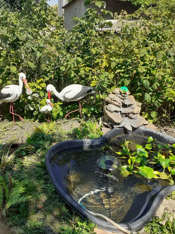 Коттедж Дом в пешей доступности до парка. Дом с банным чаном — Кисловодск