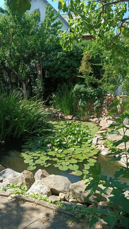 Квартира Комната — Новоотрадное