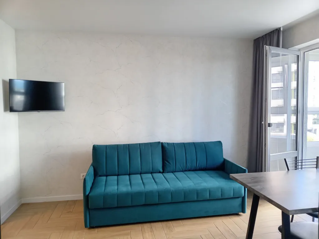 Большая квартира-студия